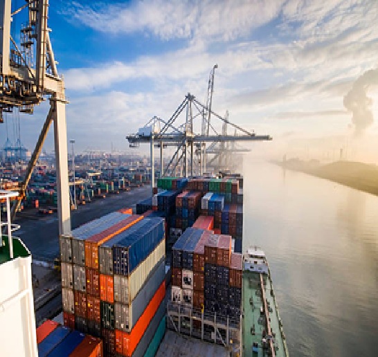 Exportación